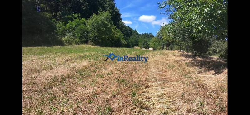 Obrázok WhatsApp 2025-10-23 o 13.06.55_0e3fb3f9.jpg