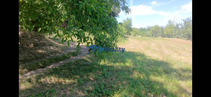 Obrázok WhatsApp 2025-10-23 o 13.06.55_9c1fdc6d.jpg